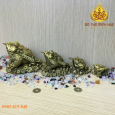 Cóc đồng phong thủy - Bộ 1245