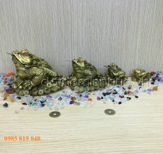 Cóc đồng phong thủy 2