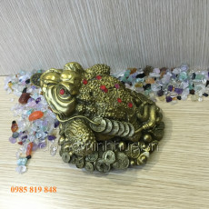 Cóc đồng phong thủy 2