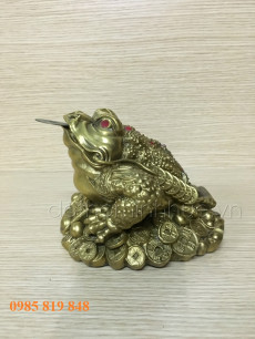 Cóc đồng phong thủy - Bộ 1245