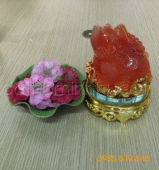 Cóc Tỳ hưu tài lộc - Đỏ bé